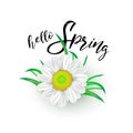 Hello spring text vector banner greetings design Royalty Free Stock Photo