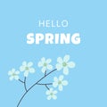 Hello spring text vector banner greetings design with flowers branch in blue background. Royalty Free Stock Photo