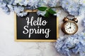Hello Spring text on wooden blackboard and flower decoration on marble background