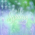 Hello spring time lettering and snowdrops frame. Vector spring poster