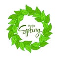 Hello Spring time wreath with green fresh leaves Royalty Free Stock Photo