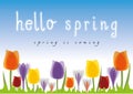 Hello Spring Tulip blue sky background