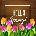 Hello spring tulips flowers background with lettering and white frame. Template for greeting card with tulip bouquet