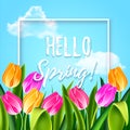 Hello spring tulips flowers background with lettering and white frame. Template for greeting card with tulip bouquet