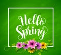 Hello spring vector banner design in green textured background Royalty Free Stock Photo