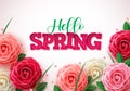 Hello spring vector concept background. Spring greetings text with colorful flower