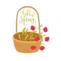 Hello Spring vector illustration. Basket with flowers on light background.