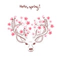 Hello spring vector illustration, Sketchy deer with flowers Royalty Free Stock Photo