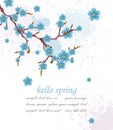 Hello spring vintage background with blue flowers. Vector illustration. Minimalistic elegant card backgrounds