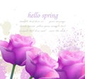 Hello spring violet roses and splash Vector. Romantic passional greeting card templates