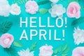 Hello, spring With white and rose paper flowers Royalty Free Stock Photo
