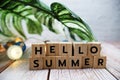 Hello Summer alphabet letters with monstera leave and LED cotton balls decoration on wooden background Royalty Free Stock Photo