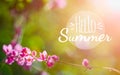 Hello summer background concept. Banner holiday flowers background. Beautiful pink flower on green nature background Royalty Free Stock Photo