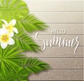 Hello summer background with tropical flowers, plants, leaves and drops on wooden board . Vector illustration. Royalty Free Stock Photo
