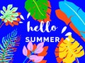 Hello summer banner/background template design, tropical plants on blue, colorful vibrant tones Royalty Free Stock Photo
