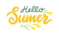 Hello Summer Banner with Lettering and Flower on White Background. Summertime Season Greeting Calligraphy Design