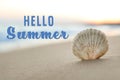 Hello Summer. Beautiful seashell on sandy beach, closeup Royalty Free Stock Photo