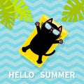 Hello Summer. Black cat floating on yellow air pool water mattress. Palm tree leaf. Cute cartoon relaxing character. Sunglasses. S Royalty Free Stock Photo