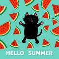 Hello Summer. Black cat jumping or making snow angel. Watermelon slice icon cut with seed Triangle fruit cut. Cute cartoon charact Royalty Free Stock Photo