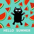 Hello Summer. Black cat wearing sunglasses jumping or making snow angel. Watermelon slice icon cut with seed Triangle fruit cut. C Royalty Free Stock Photo