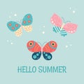Hello summer. Butterflies on blue background