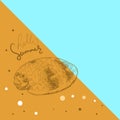 Hello summer card banner. sea shells Volutidae, common name volutes, are a taxonomic family of predatory sea snails shell. Sketch Royalty Free Stock Photo