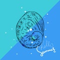 Hello summer card banner. Vetigastropoda sea snail. Unique shells, molluscs. Sketch cyan black contour on blue background. Vector