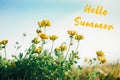 Hello summer. Card with greeting text. Yellow buttercup flowers in grass on blue sky background outdoor. Amazing seasonal summer