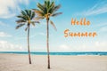 Hello summer. Card with text. Beautiful tropical nature landscape with two tall palm trees and sea ocean, sand, beach. Coastal