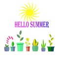 Hello summer collection of icons