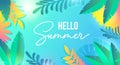 Hello summer colourful banner with tropic leaves