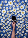 Hello summer. A cup of coffee in a woman`s hand on a blue background with chamomile or daisies. The concept of the Royalty Free Stock Photo