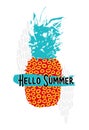 Hello summer design with colorful retro pineapple