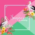 Hello Summer Design with Tropical Plants and Birds. Summertime Card with Exotic Flowers and Pelicans. Floral Background