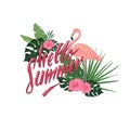 Hello summer with flamingo Royalty Free Stock Photo