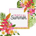 Hello Summer Floral Poster with Golden Frame. Tropical Exotic Flowers Design for Sale Banner, Flyer, Brochure, Fabric Royalty Free Stock Photo