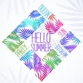 Hello Summer gift card with palm leaf. Vector isolated illustration on white background. Design graphic element for t Royalty Free Stock Photo