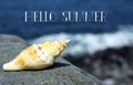 Hello Summer greeting card with seashell on the beach by the ocean. Royalty Free Stock Photo