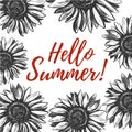 Hello summer vector illustration. Royalty Free Stock Photo