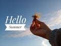 Hello summer greetings. With blurry image of  young woman hands holding sea weed against the bright and blue sky on a sunny day Royalty Free Stock Photo