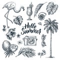 Hello summer hand drawn calligraphy lettering and tropical design elements set. Vector sketch illustration Royalty Free Stock Photo