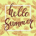 Hello summer hand drawn lettering on dragonfly pattern for your design Royalty Free Stock Photo
