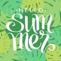 Hello summer, hand paint vector lettering on a abstract tropical palm leaves frame Royalty Free Stock Photo