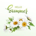 Hello Summer handmade lettering and bouquet realistic daisy, camomile flowers on white background. Vector illustration