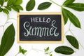 Hello summer inscription by chalk on blackboard with green leaf ornament. Hello Summer handdrawn illustration