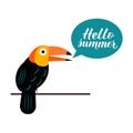 Hello summer lettering with cute cartoon tropical bird toucan and speech bubble. Inspirational seasonal quote typography poster. Royalty Free Stock Photo