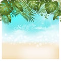 hello summer background with hello summer lettering vector illustration