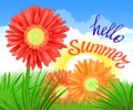 Hello Summer Lettering and Realistic Gerbera Flowers. Summer background design for your holiday poster, banner, headline text. Royalty Free Stock Photo