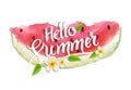 Hello summer lettering typography with watercolor watermelon