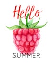 Hello summer lettering and watercolor raspberry, isolated on white